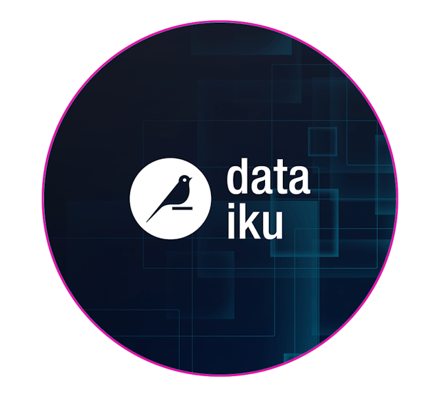 Dataiku website graphic 245