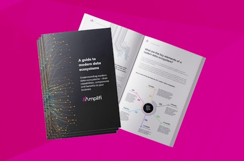 Guide: A guide to modern data ecosystems
