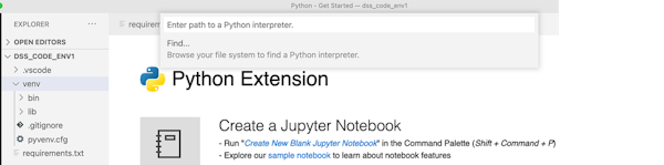 Enter interpreter path